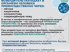 ��������� ��� (�����������)