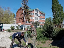 ������������� ���������