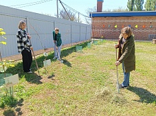 ������������� ���������