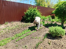 ������������� ���������