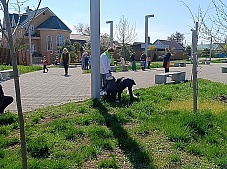 �����! ����! ��������!