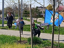 �����! ����! ��������!